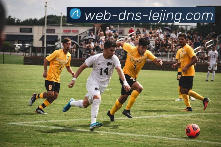 科学规划与执行体育锻炼的有效方法与技巧探讨